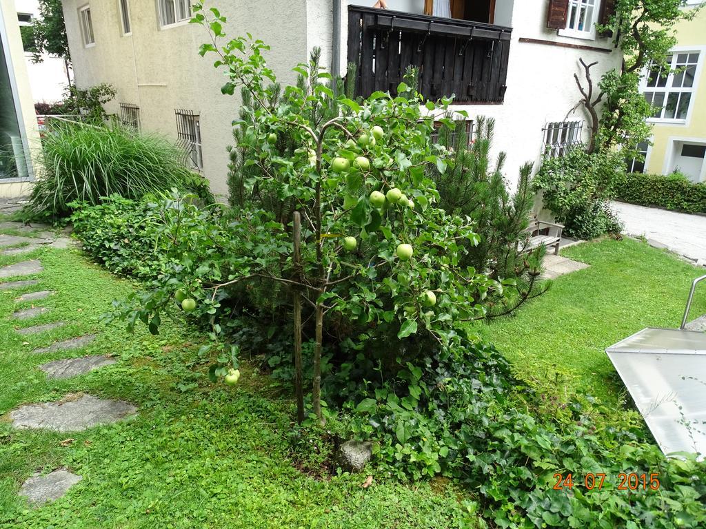 Apartment Ulli